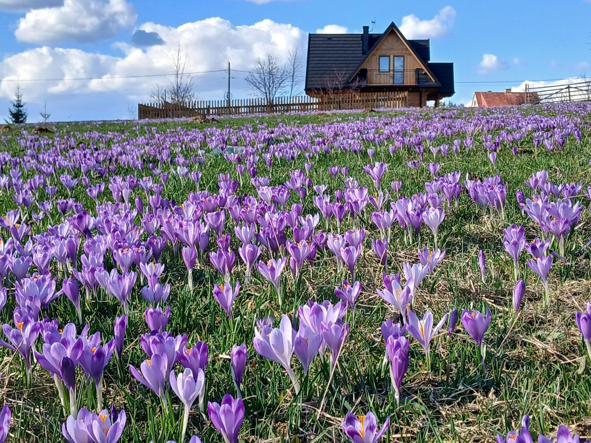 Tatra West Farm Chalet *